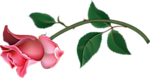 0_86fed_eae8deb8_S (150x78, 18Kb)