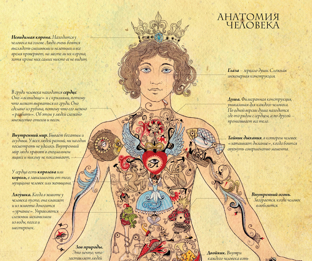 Что влияет на внутренний мир 9.3. Анатомия человека. Анатомия человека в картинках. Тело человека анатомия. Анатомическая карта тела человека.